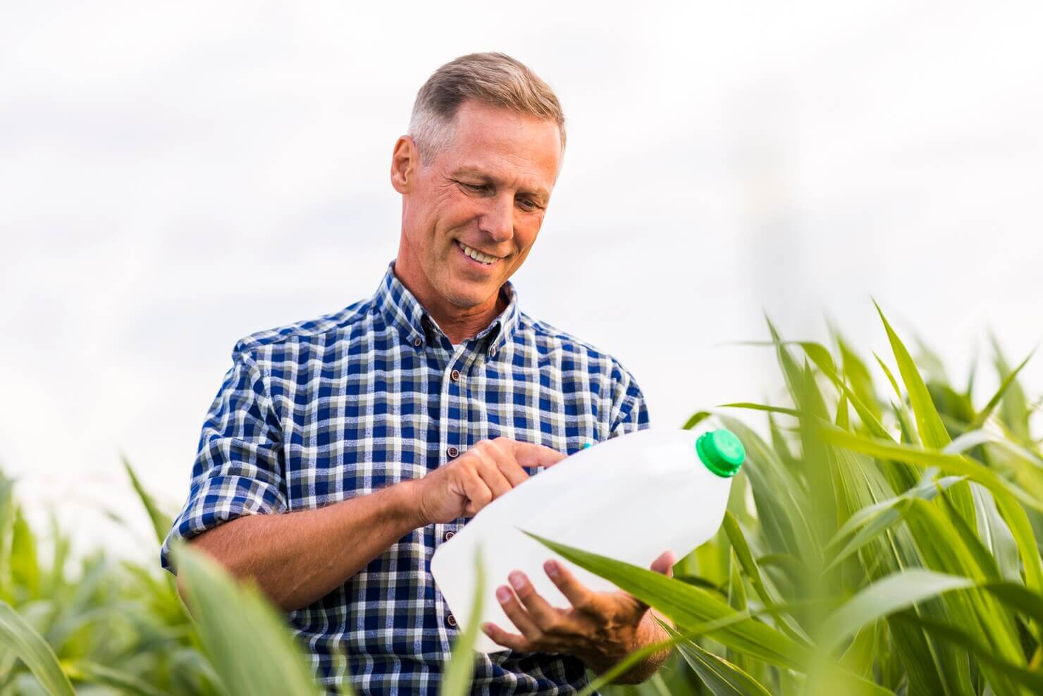 Inspección de insumo agrícola en campo