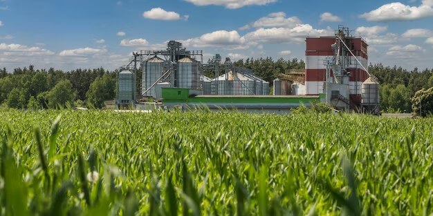 Supervisión de cultivo con tablet en invernadero